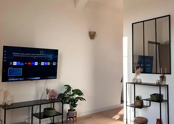 Apartment Chaleureux En Centre