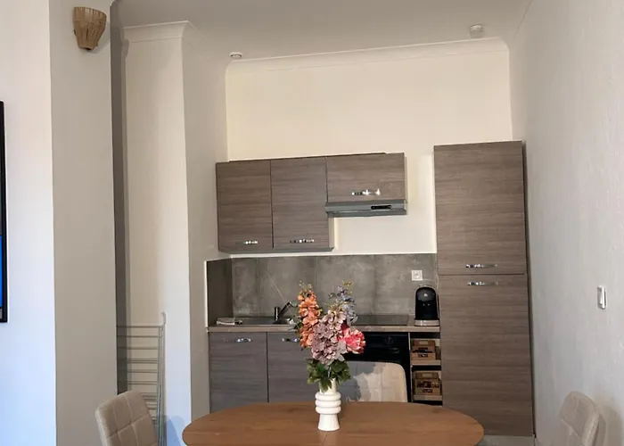 Apartment Chaleureux En Centre *